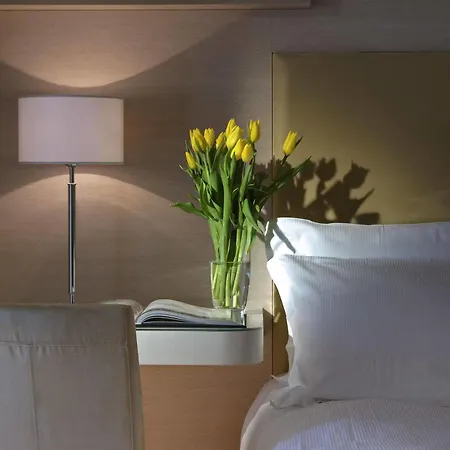 Annia Park Venice Airport מלון 4*