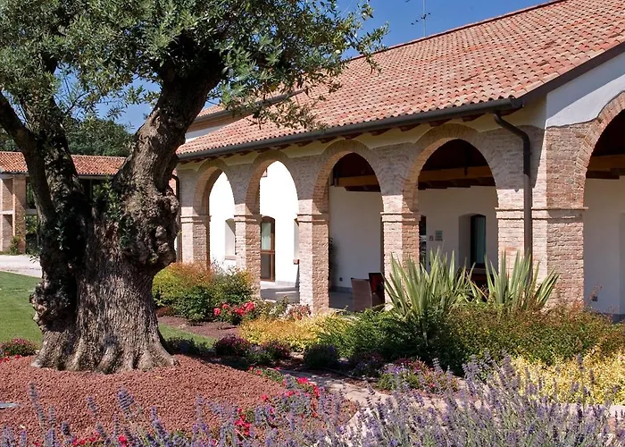 안니아 파크 베니스 에어포트