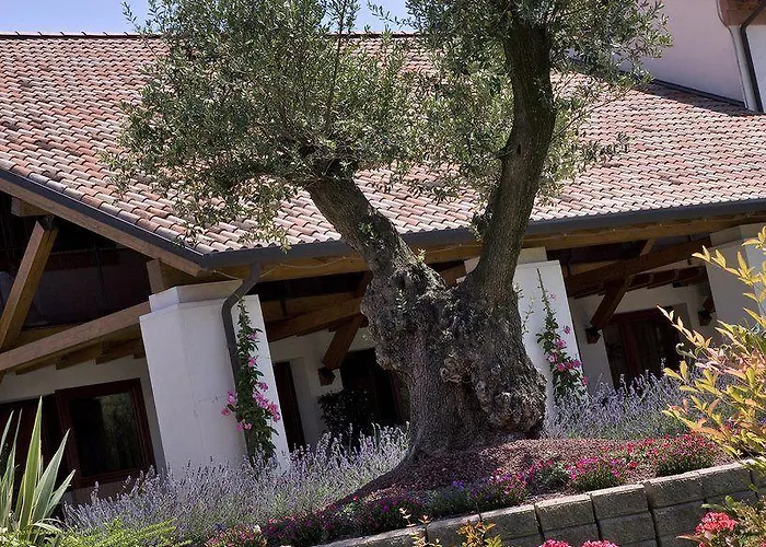 안니아 파크 베니스 에어포트 4*